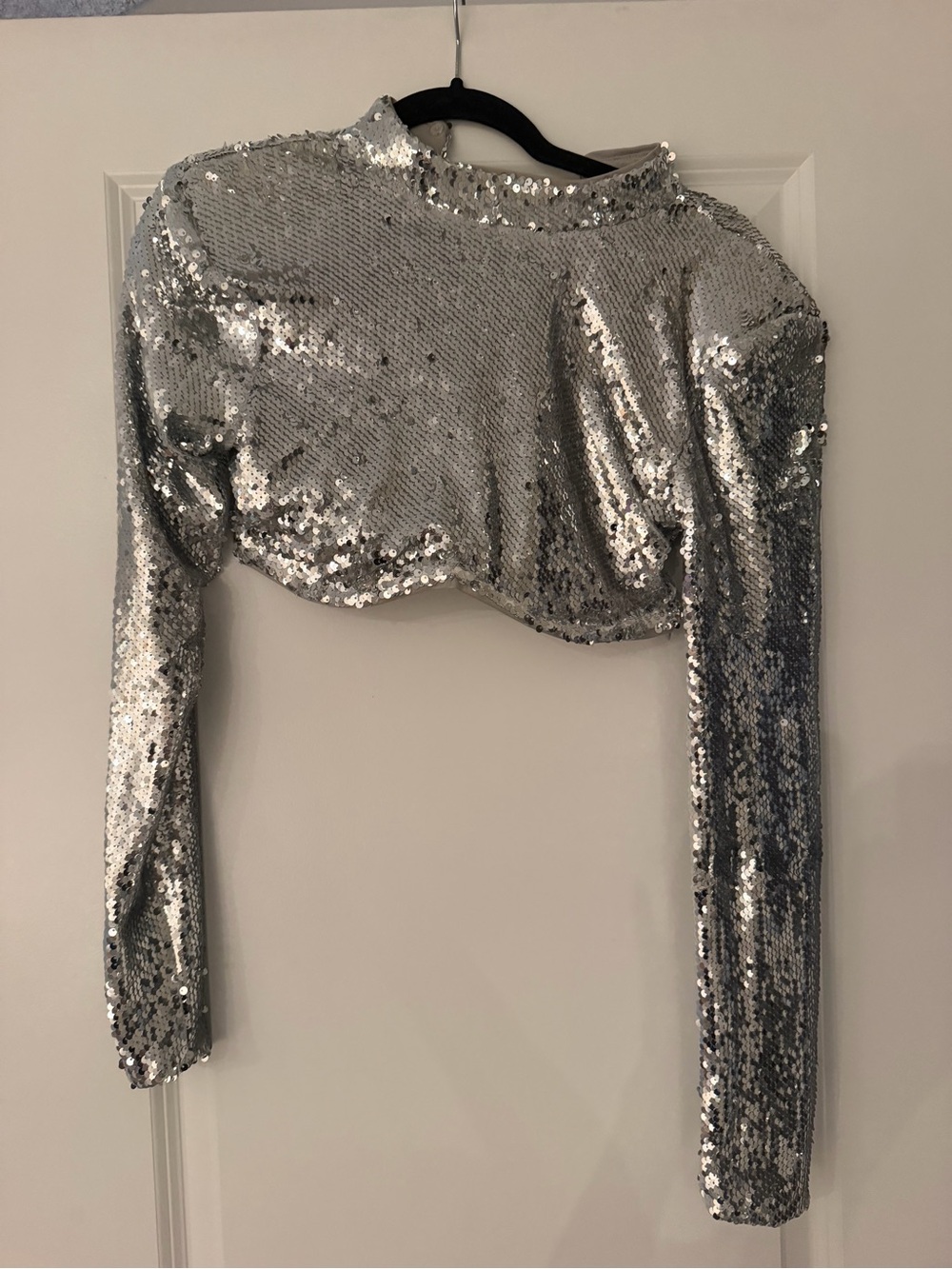 Silver Sequin Long-Sleeve Crop Top